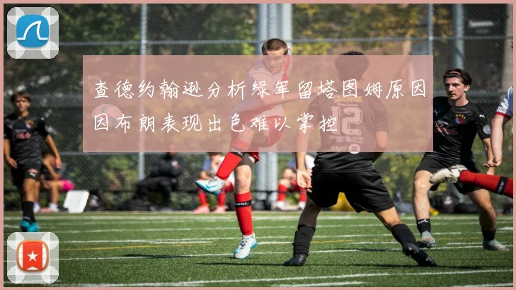查德约翰逊分析绿军留塔图姆原因因布朗表现出色难以掌控