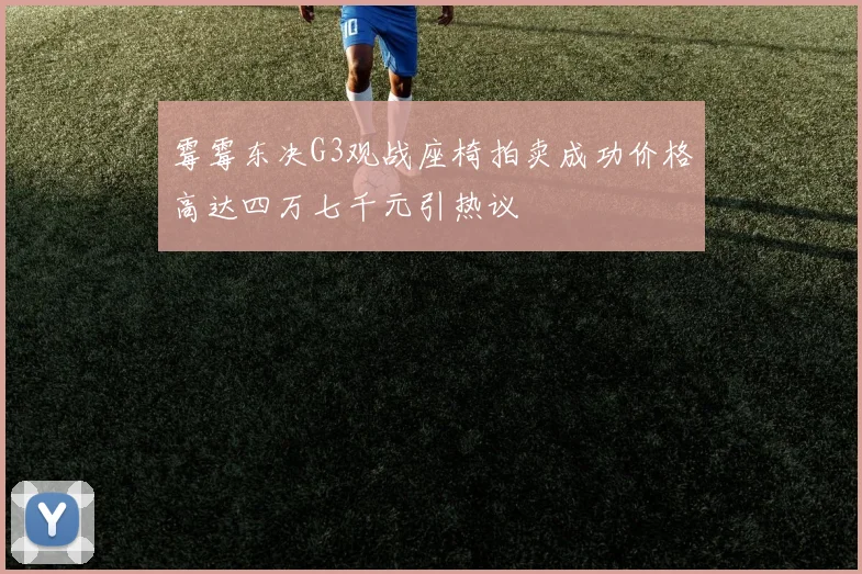 霉霉东决G3观战座椅拍卖成功价格高达四万七千元引热议